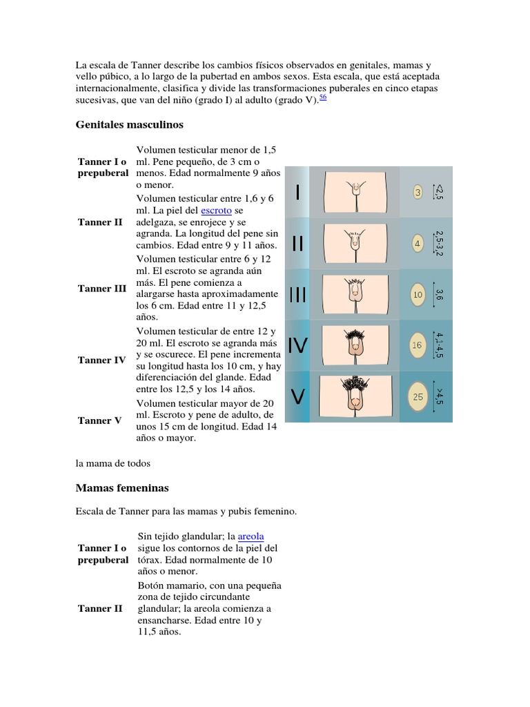 La Escala de Tanner Pecho Testículo