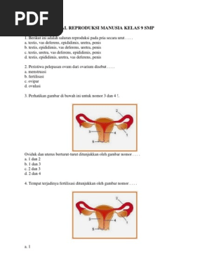 Soal Reproduksi Manusia Kelas 9 Smp