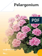 Pelargonium CATALOG PDF