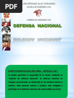 1 Seguridad y Defensa Nacional (1)