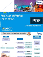 Portal - Cepech.cl 2