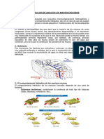 Sesi N 6 Flujos de Agua en Los Macizos Rocosos PDF