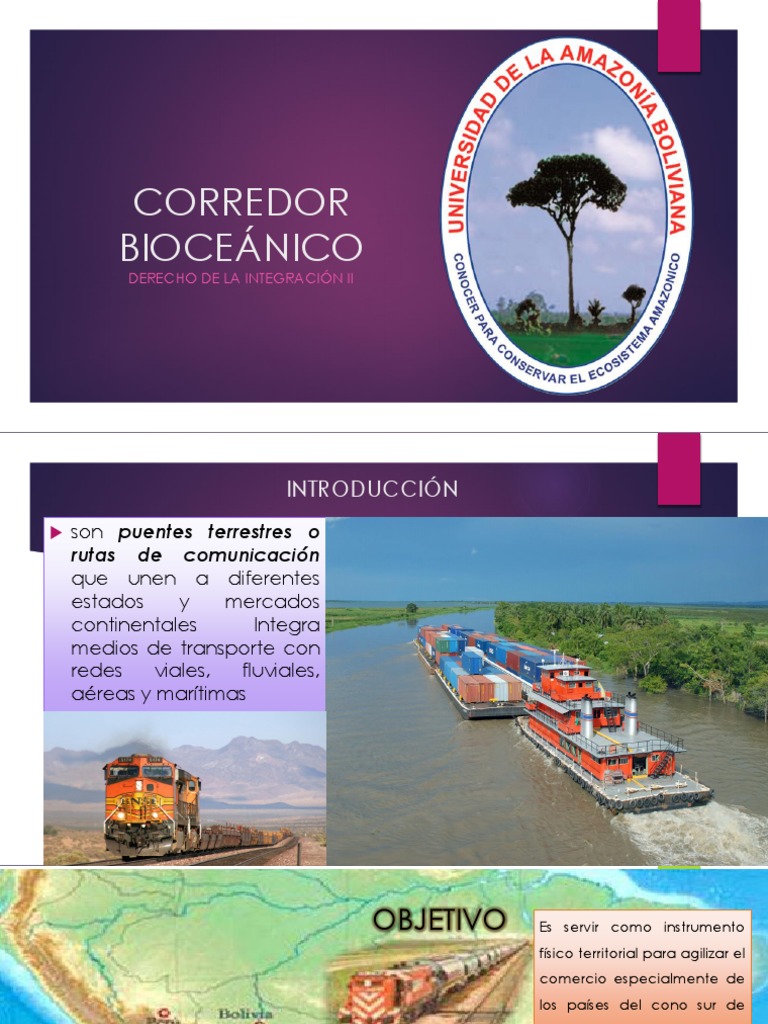 Corredor Bioceanico Pdf Andes Brasil