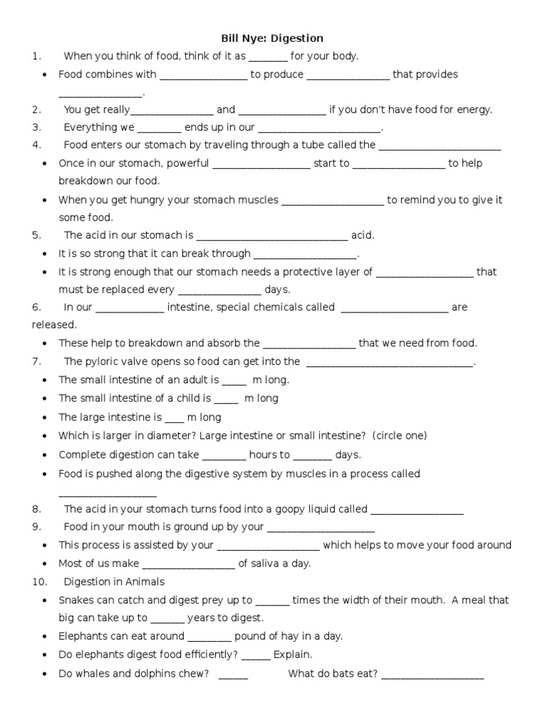 Bill Nye Digestion PDF Digestion Stomach