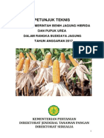 Bantuan Benih Jagung dan Pupuk Urea 2017