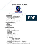 Proyecto Petroquímica Derivada Del Gas