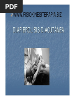 Pintando La Casa | PDF | Rodilla | Pie