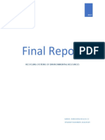 Final Report 