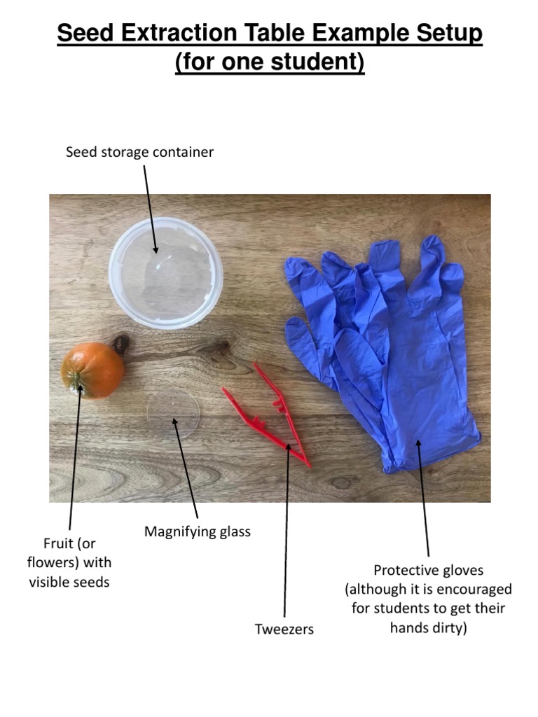 Seed Extraction Setup Guide for Students | PDF