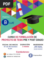Afiche Curso Tesis Noviembre - 2017