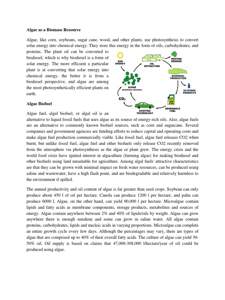 Algae As A Biomass Resource | PDF | Algae Fuel | Algae