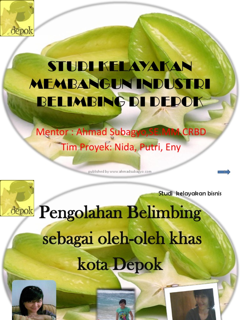 Cara Membangun Industri Belimbing Di Depok