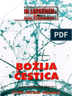 Ledermen_Lion_-_Bozija_cestica.pdf