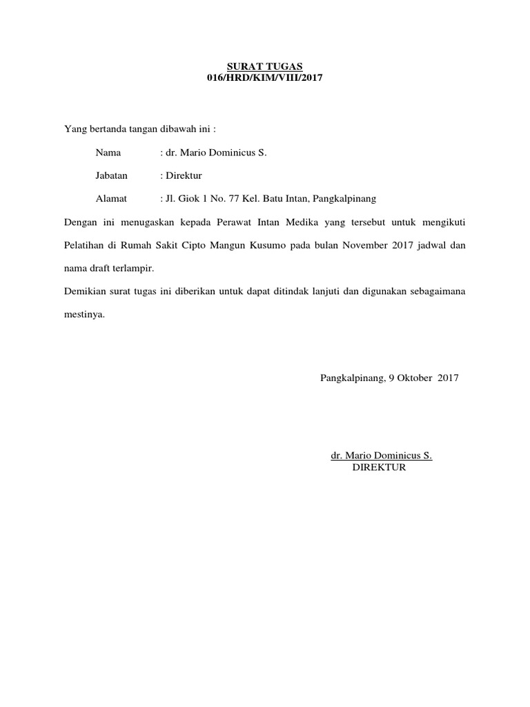 SURAT TUGAS RSCM | PDF