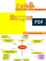 HONGOS