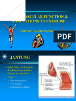 Cardiovascular Function - Adaptation