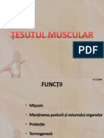 Tesut Muscular 1 2014 PDF