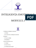 Inteligenta Emotionala - Modificat 4