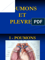 Poumons Et Plevres