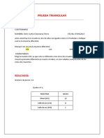 PRACTICA Nª 7.docx