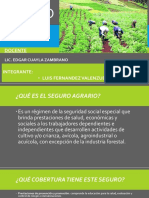 Diapositivas Seguro Agrario