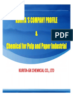 KGC - Company Profile Pulp and Paper