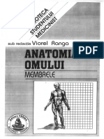 205770359 Anatomia Omului Membrele Viorel Ranga