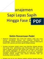 MTP PPT 2b Pemeliharaan Pedet Dara