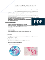 Skenario 1 Patogenesis Dan Patofisiologi Uretritis Non GO