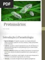 Protozooses e Helmintoses.pptx