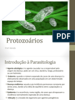 Protozooses e Helmintoses.pptx