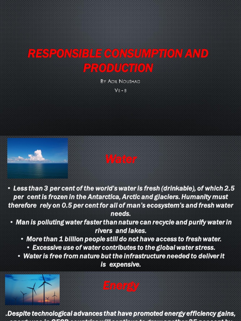 Responsible Consumption and Production | PDF