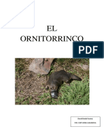 El Ornitorrinco PDF