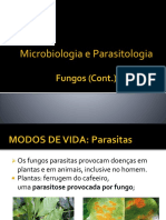 Apresentação1 fungos cont..pptx