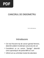 Cancer de Endometru