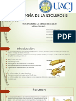 Fisiopatología de La Esclerosis Múltiple