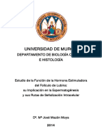 Mª José Mazón Moya.pdf
