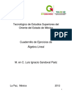 Algebra Lineall PDF