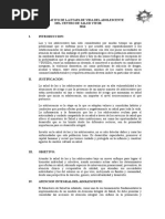 329370934-Plan-Operativo-de-La-Etapa-de-Vida-Del-Adolescente.doc