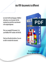 Multilizer Translates PDF Documents To Different Languages