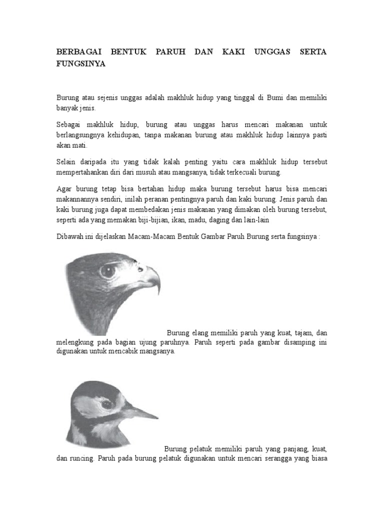 Burung Pdf