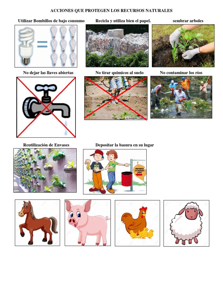 5 Acciones para Proteger Recursos Naturales | PDF | Hogar, jardinería y ...