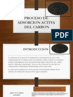 Carbon Activado - Docx 1