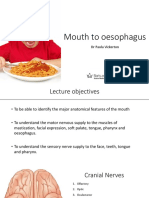 Mouth To Oesophagus - Student Version - Gep.2017