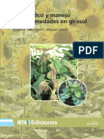 Diagnostico y Manejo de Enfermedades en Girasol