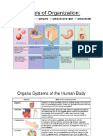 Organs Systems of The Human Body