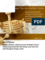 Fungsi, Tipe Dan Klasifikasi Tulang