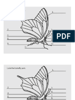 Butterfly Facts year 4.pdf