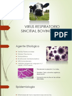 Virus Respiratorio Sincitial Bovino (VRSB) 