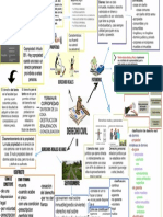 Mapa Mental Derecho Civil 2o Curso